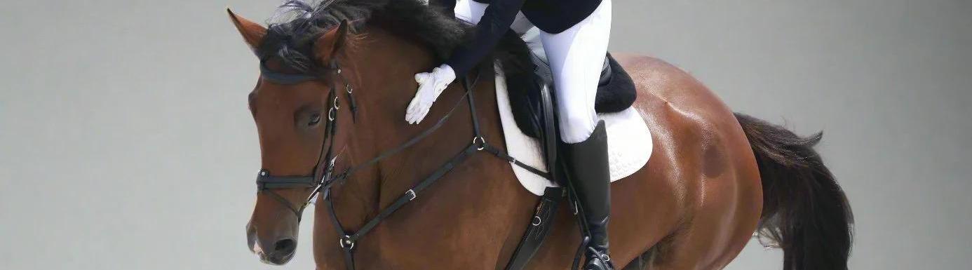 Canter Cart