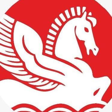 Singhal Industries