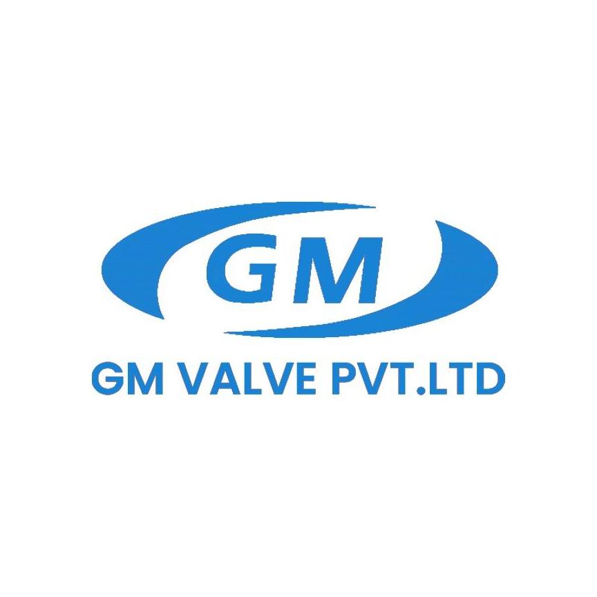 G M Valve  Private Limited