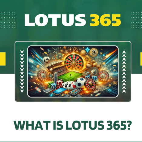 Lotus  365