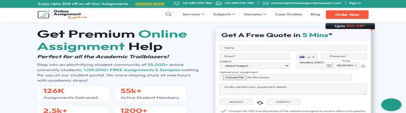 Online Assignment Expert