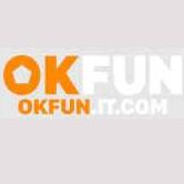 Okfun Itcom