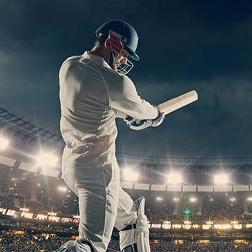 Wolf777 Cricket