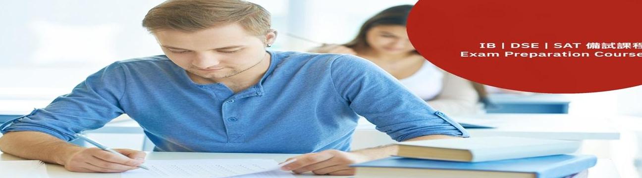 IMMERSE LANGUAGES  INSTITUTE