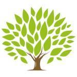 Ironwood Financial LLC