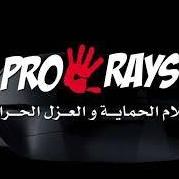 Pro Rays