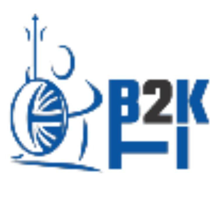 B2k Holdings