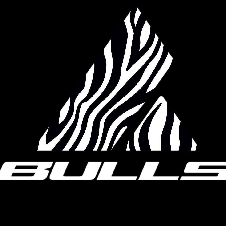 Bulls Bikes USA