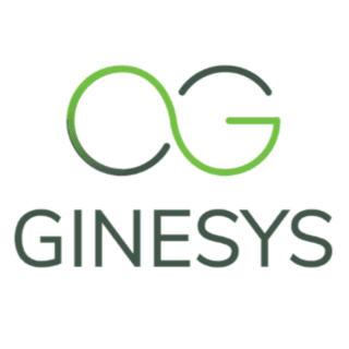 Ginesys One