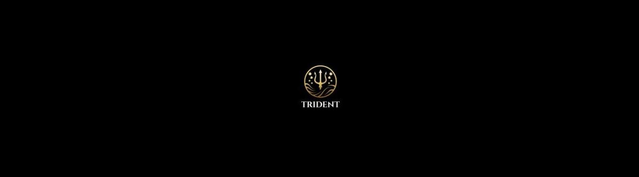 Trident Professional Cleaning Services