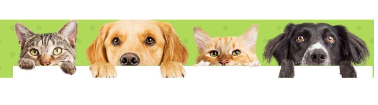 Grace Animal Hospital