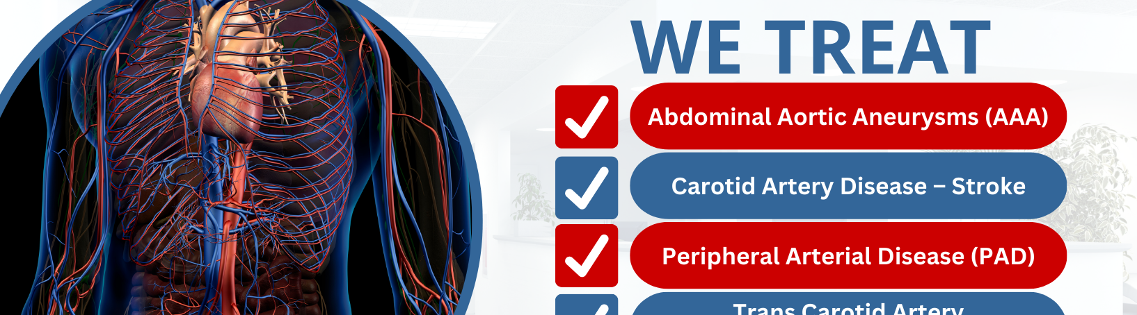 Vegas Vascular Specialists