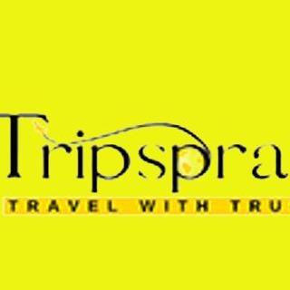 Trip Spray