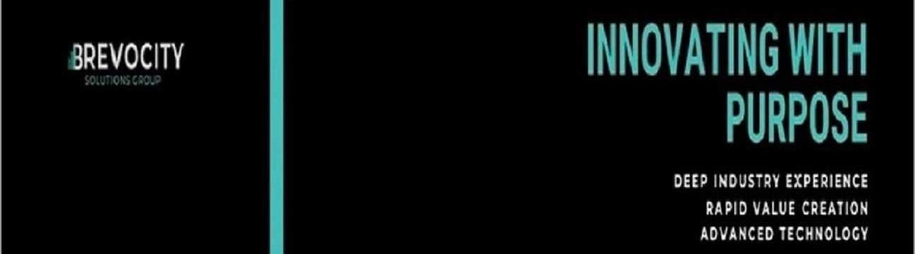 Brevocity Solutions Group
