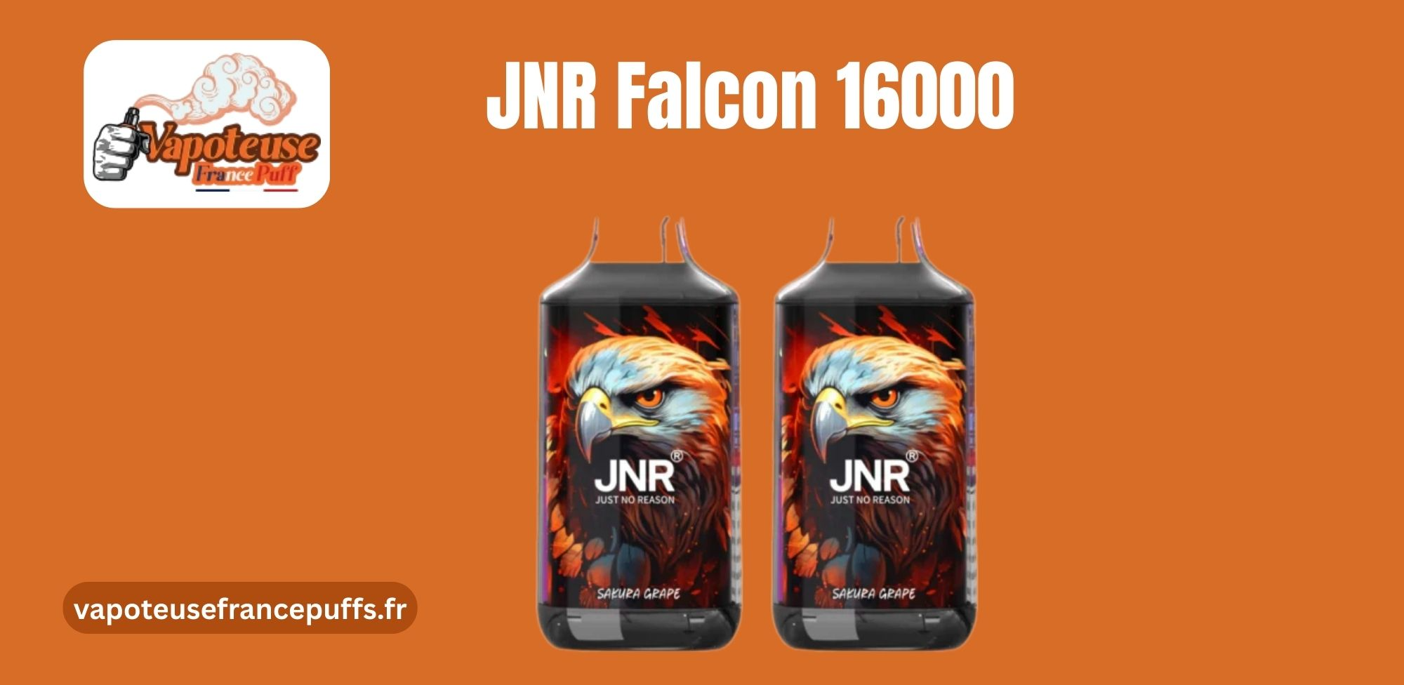 sngine_ada213aa2d494c97694d9388e7b86b10.png