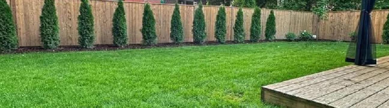 Fernhill Fencing