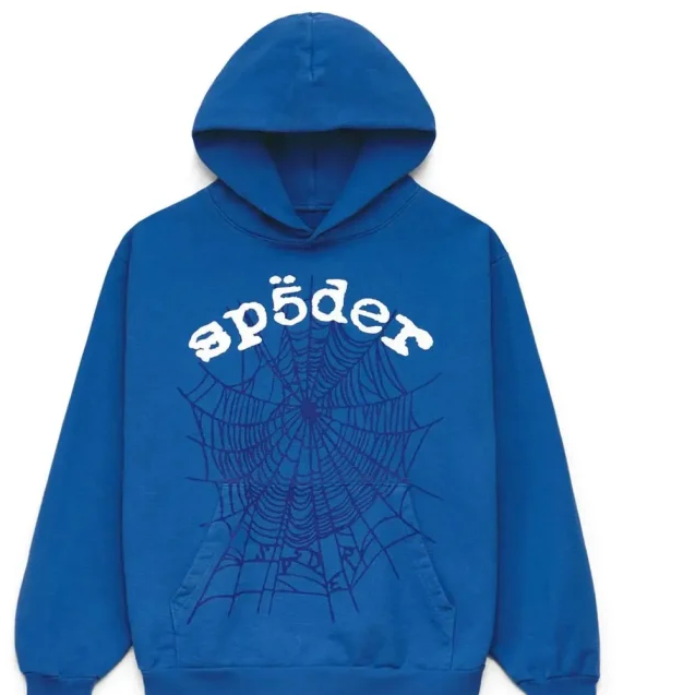 Sp5ders Hoodies