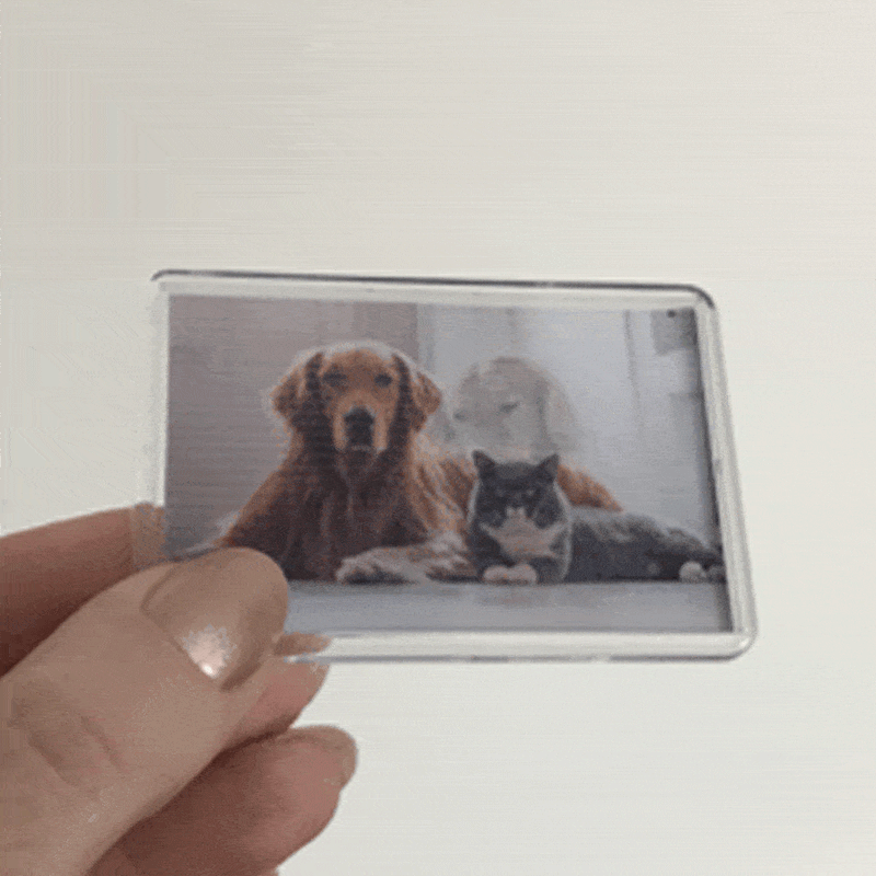 sngine_358f109af4a5c97033e795e21564f906.png