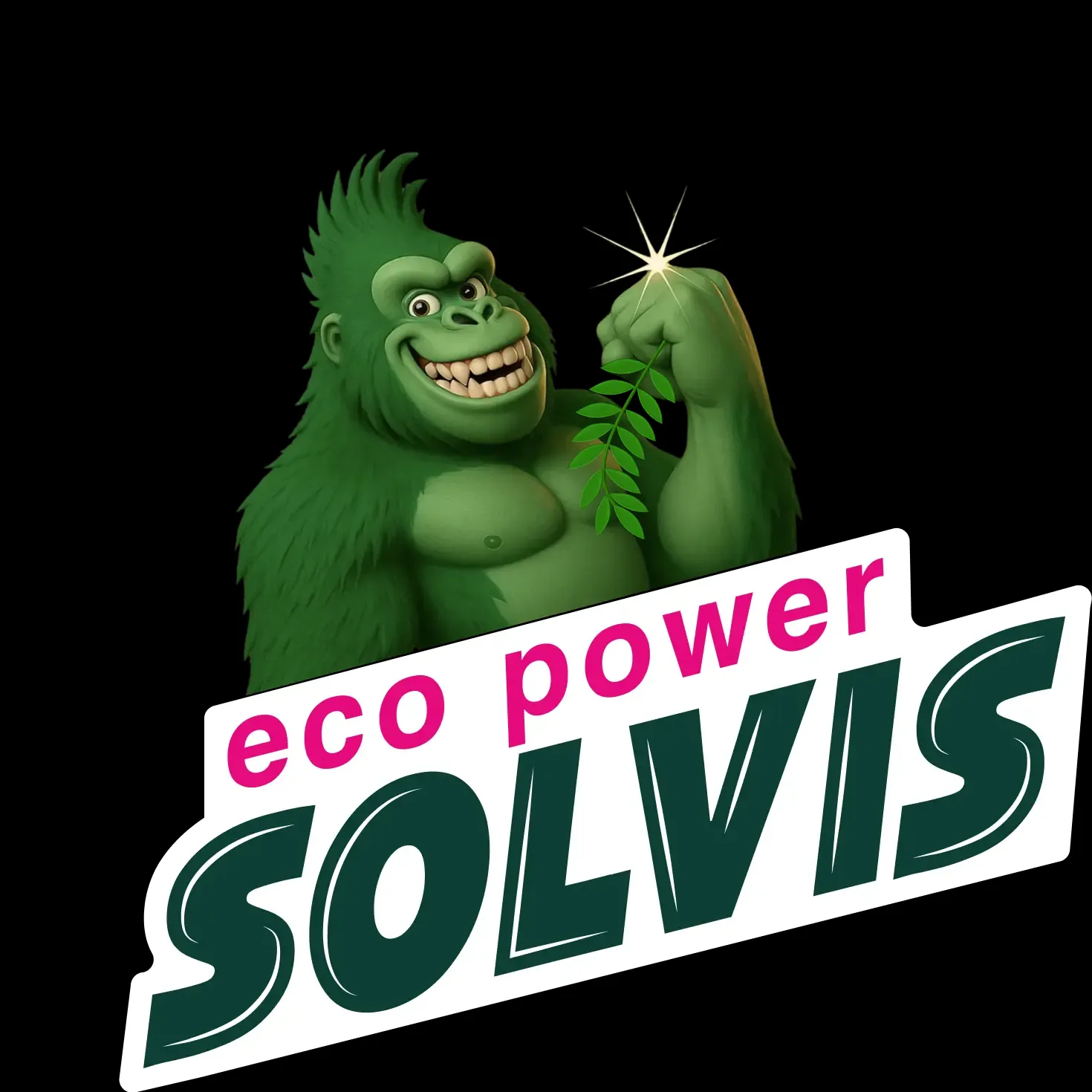 Solvis Ecopower