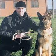 Wag Along  Pet Care