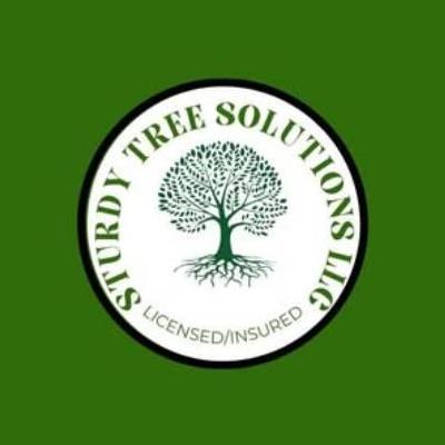 SturdyTree SolutionsLLC
