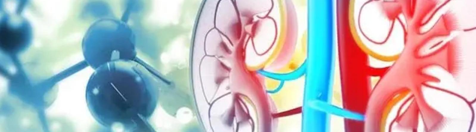 North Delhi Uro Gynae