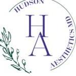 Hudson Aesthetics 