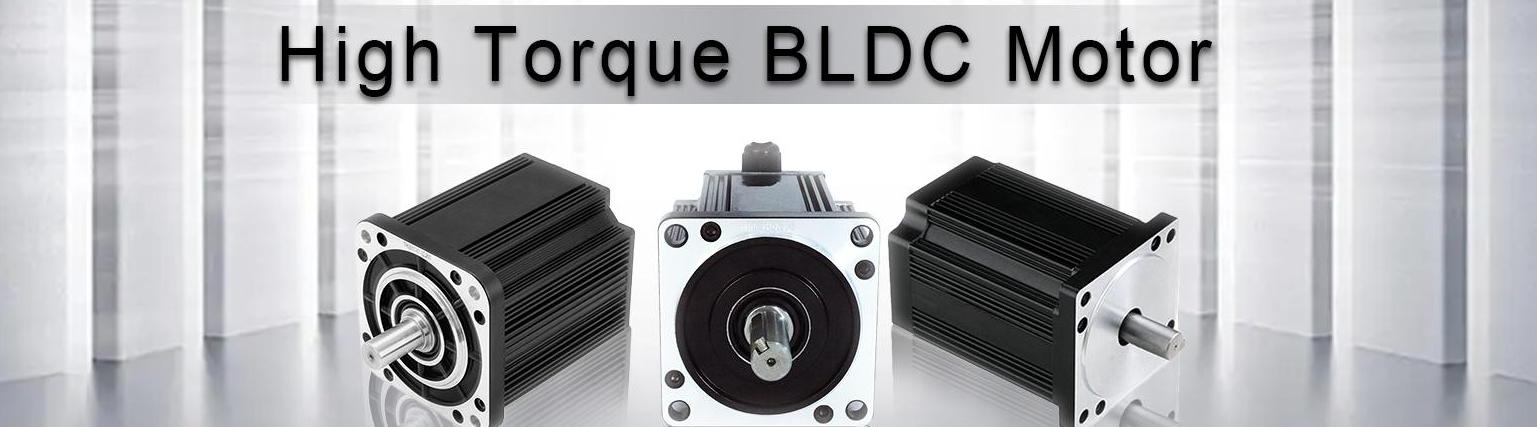 BLDCElectric Motor