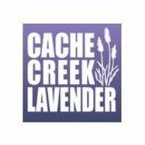 CacheCreek Lavender