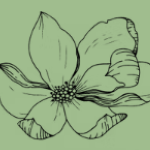 Magnolia Psychiatric