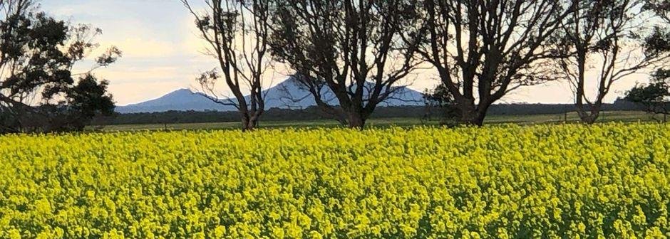 Fulltime, Permanent Farmhand &ndash; Broadacre Cropping