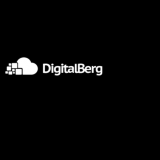 DigitalBerg Servers